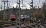 4010 002 'Naturpark Schönbuch' kommt in Singen an.