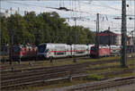 4010 001 in Singen, August 2024.