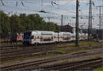 4010 004 in Singen, August 2024.