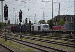 248 091 von WFL fährt mit einem Holzzug auf die Güterzüggleise im Bahnhof Singen ein. August 2026.