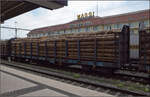 Holztransport auf 33 RIV 88 B-CKR 4718 048-1 Sps.