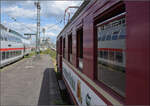 ET 65, der wiederbelebte Rote Heuler.

465 005 in Stuttgart. Juni 2026.