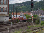 446 027, 446 013, sowie 446 003 und 446 004 (im Bild) in Weinheim. Juli 2024.