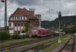 446 010 (im Bild), 446 014, sowie 446 019 und 446 021 in Weinheim. Juli 2024.