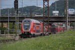 446 040, 446 037, sowie 446 036 und 446 017 (im Bild) in Weinheim. Juli 2024.