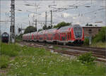 446 033, 446 035, sowie 446 031 und 446 025 (im Bild) in Weinheim. Juli 2024.