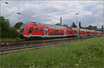 446 033 (im Bild), 446 035, sowie 446 031 und 446 025 in Weinheim. Juli 2024.