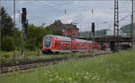 446 033 (im Bild), 446 035, sowie 446 031 und 446 025 in Weinheim. Juli 2024.