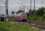 Nur ein kurzes Würstchen, kaum sättigend für den Fahrgastandrang: 446 018 und 446 039 in Weinheim. Juli 2024.