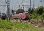 446 017, 446 036, sowie 446 037 und 446 040 (im Bild) in Weinheim. Juli 2024.