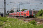 446 017, 446 036, sowie 446 037 und 446 040 (im Bild) in Weinheim. Juli 2024.