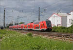 446 017, 446 036, sowie 446 037 und 446 040 (im Bild) in Weinheim. Juli 2024.