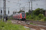 446 017, 446 036, sowie 446 037 und 446 040 (im Bild) in Weinheim. Juli 2024.