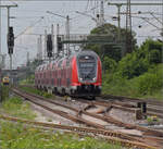 446 017, 446 036, sowie 446 037 und 446 040 (im Bild) in Weinheim. Juli 2024.