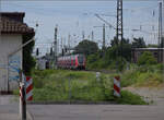 446 034 (im Bild), 446 029, sowie 446 001 und 446 002 in Weinheim. Juli 2024.