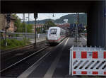 '412 204' ICE 4 Triebzug 9204 (im Bild) und '412 210' ICE 4 Triebzug 9210 auf der Rhein-Neckar-Bahn. Weinheim, Juli 2024.