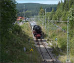 Dampf im Hochschwarzwald.