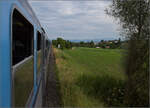 Blick aus dem Zug mit 218 256 bei Kluftern. Der Sntis ist stndiger Begleiter. Juli 2024.