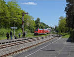 245 036 schleicht mit ihrem (I)RE durch Überlingen gen Erzingen.