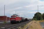 232 252-7 mit dem 45365 Nrnberg - Cheb bei der durchfahrt in Wiesau.