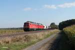 232 589-2 + 233 367-2 mit dem 45369 Nrnberg - Cheb bei Oberteich.