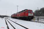 232 906-8 steht abgestellt mit 233 367-2 in Marktredwitz 15.02.15