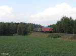 232 347-5 zieht bei Oberteich den FE 49177 nach Wels durch die Kurve.