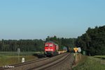 232 571-0 mit dem abendlichen 51716 NNR - LE Frankenwaldumleiter bei Oberteich.