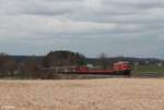 232 703 zog am 14.03.20 den EZ 51819 Rumänien Shuttel ab Schwandorf bis Regensburg wo dann eine E-Lok von Lokomotion den Zug übernahm, aufgenommen zwischen Regenstauf und Regensburg.