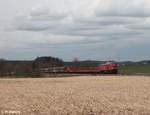 232 703 zog am 14.03.20 den EZ 51819 Rumänien Shuttel ab Schwandorf bis Regensburg wo dann eine E-Lok von Lokomotion den Zug übernahm, aufgenommen zwischen Regenstauf und Regensburg.