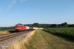 233 373-0 mit dem umgeleiteten 45360 Cheb - Nrnberg bei Oberteich.