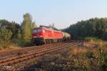 233 173-7 mit dm 45360 Cheb - Nrnberg in Reuth bei Erbendorf.