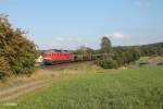 233 511-5 mit dem 51750 Nürnberg - Leipzig Engelsdorf bei Großschlattengrün.