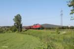 233 636-8 hat gerade das Seußener Viadukt passiert mit dem 45366 XTCH - NNR.