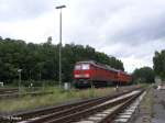 233 625-3 und 233 562-8 stehen in Marktredwitz abgestellt.