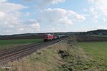 233 219-5 zieht bei Neudes mit dem 51724 NNR LLE Frankenwald Umleiter vorbei.