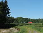 233 698 zieht kurz vor Wiesau den 51715 NNR - LE Frankenwald Umleiter.