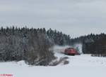 233 525 zieht einen Gaskesselzug aus Cheb nach Regensburg bei Oberteich.