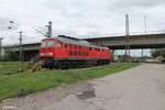 233 040-5 bei der Wochenendruhe in Regensburg Ost.