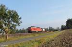 233 040-5 zieht ein kurzen Gterzug von Hof nach Nrnberg bei Marktleuthen.