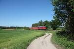 233 521 mit dem GAG 44330 Gibszug nach Ipfhofen bei Waldershof.