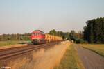 233 314-4 mit einem Schotterzug in Richtung Marktredwitz bei Oberteich.