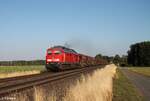 233 452-2 mit einem Schotterzug bei Oberteich.22.07.22