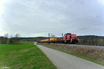 294 645-7 mit der Sonntags bergabe Nrnberg - Neumarkt/Oberpfalz bei Plling.