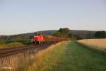 363 814-5 mit Holzzug frs ATW Wiesau bei Oberteich.