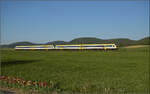 Ade Dieselloch.

612 014 und 612 015 bei Rechberg. April 2026.