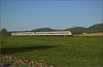 Ade Dieselloch.

612 014 und 612 015 bei Rechberg. April 2026.