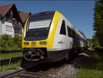 Ade Dieselloch.

612 136 und 612 019 am unbeschrankten Fußgängerübergang in Tiengen. April 2026.
