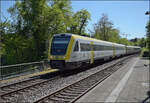 612 015 und 612 014 in Laufenburg (Baden). April 2026.