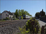 612 054 und 612 069 bei Dogern. April 2026.